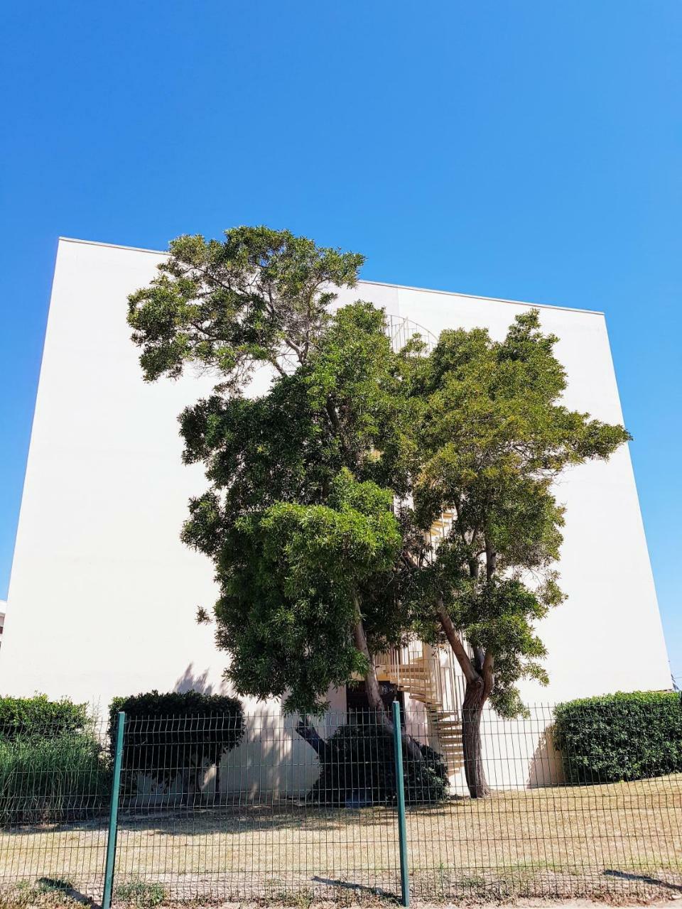 Appartement Sauvy - Côte Vermeille Canet Exterior foto