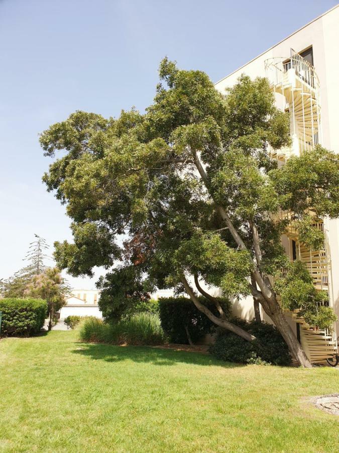 Appartement Sauvy - Côte Vermeille Canet Exterior foto